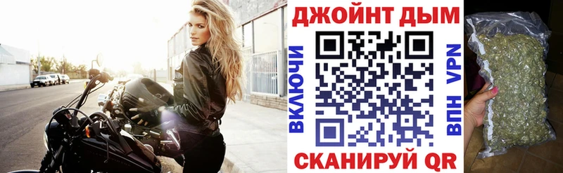 закладка  Высоцк  Конопля сатива 